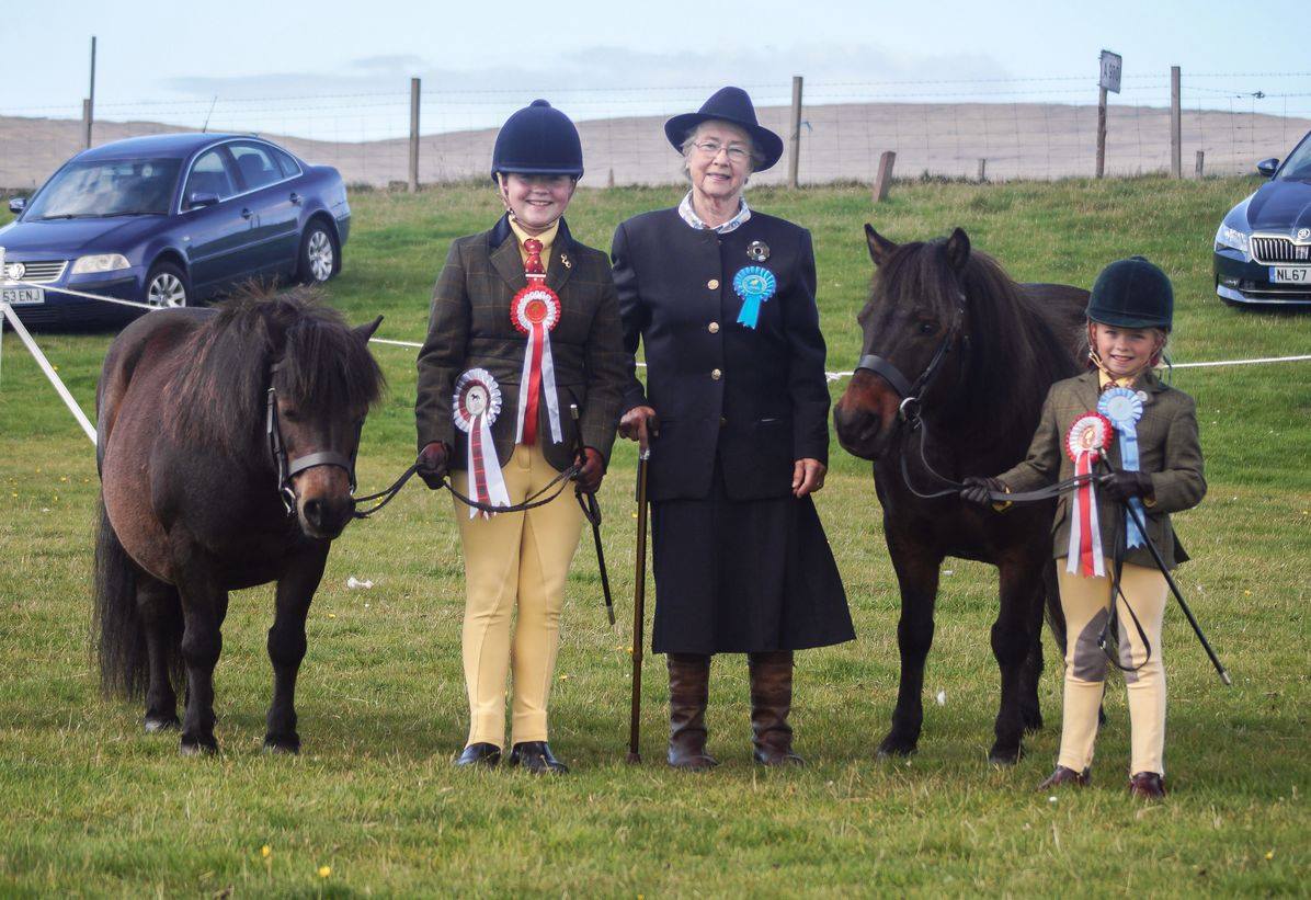 Viking Shetland Pony Show 2021  Pony Breeders of Shetland Association