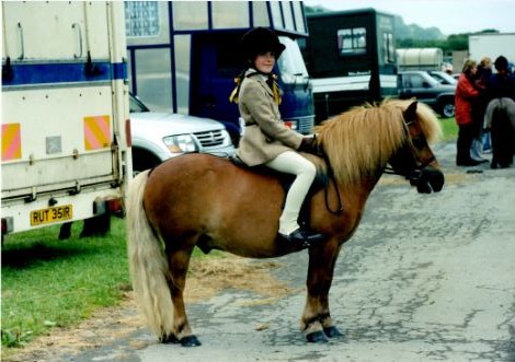 Old Pictures | Pony Breeders of Shetland Association