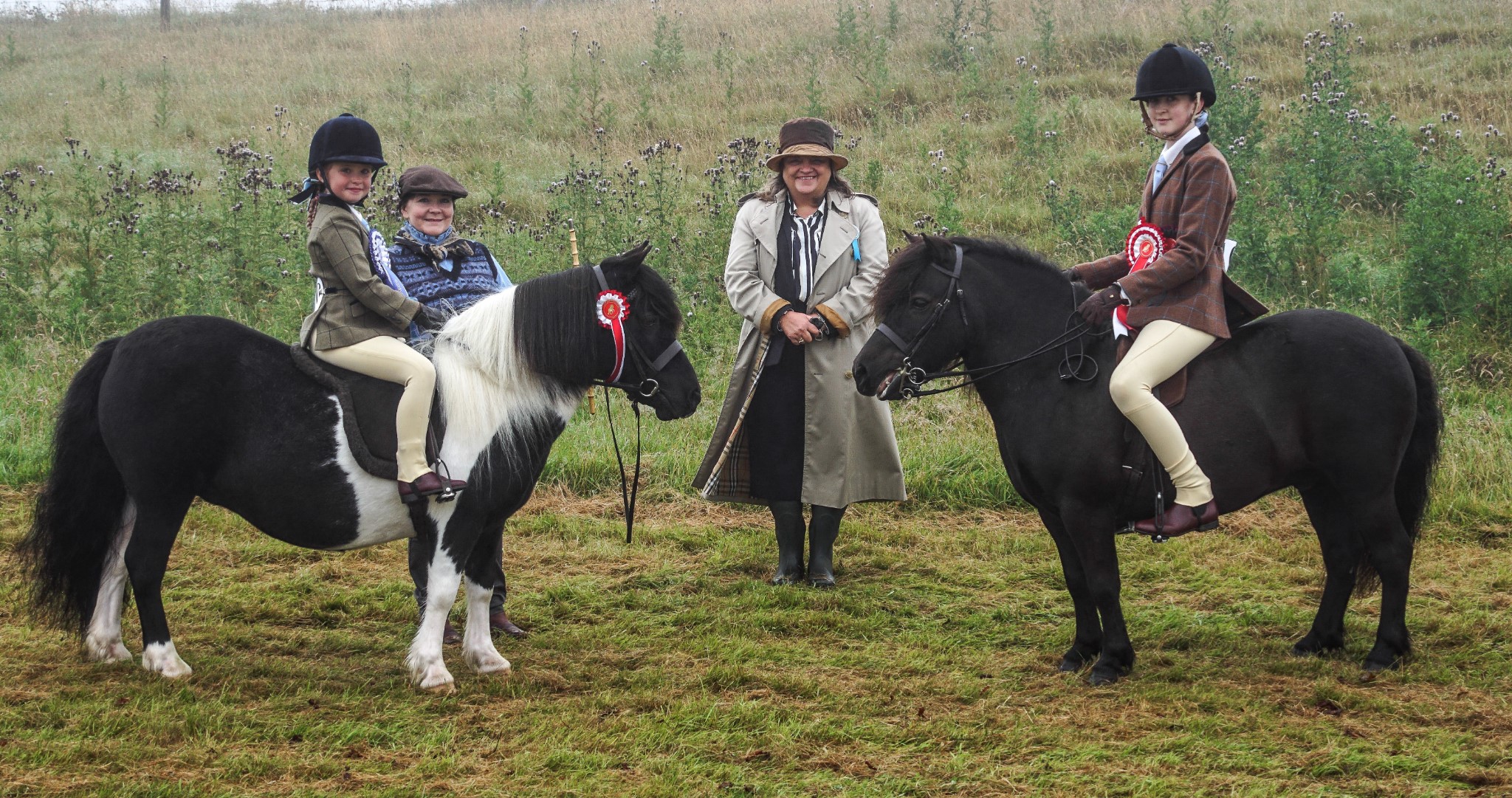 Viking Shetland Pony Show 2021  Pony Breeders of Shetland Association